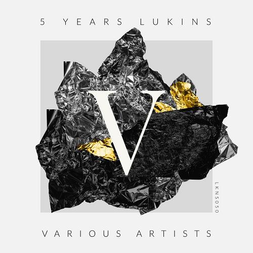 VA - 5 Years Lukins [LKNS050]